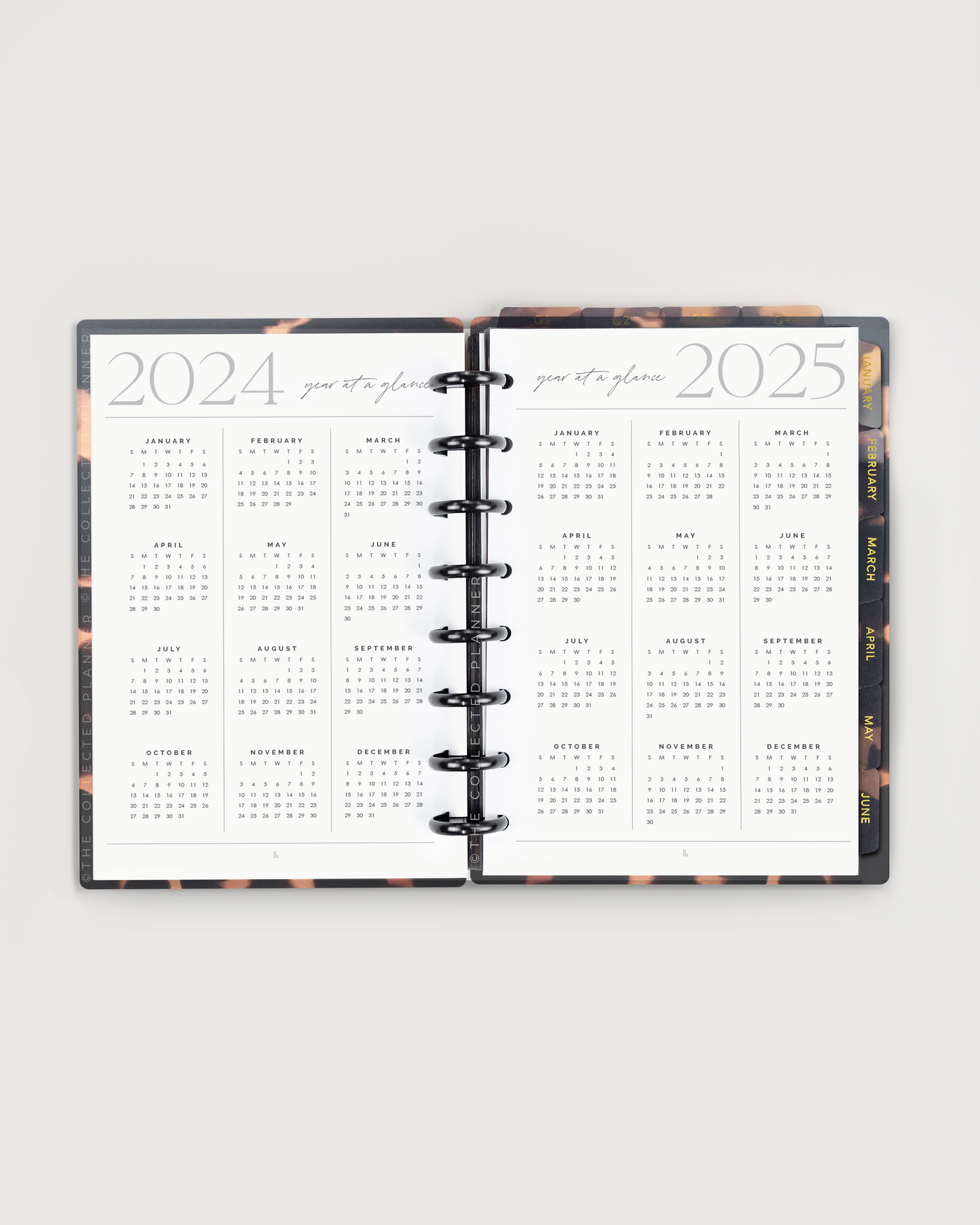 2024 Tortoiseshell Annual Planner - Productivity Edition