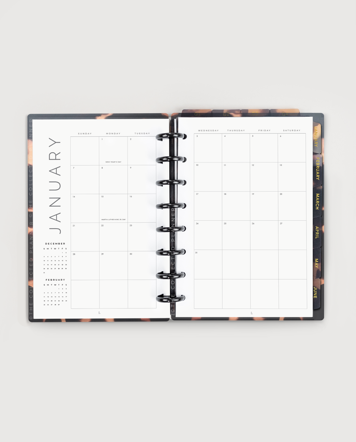 2025 Nude Blush Annual Planner - Productivity Edition