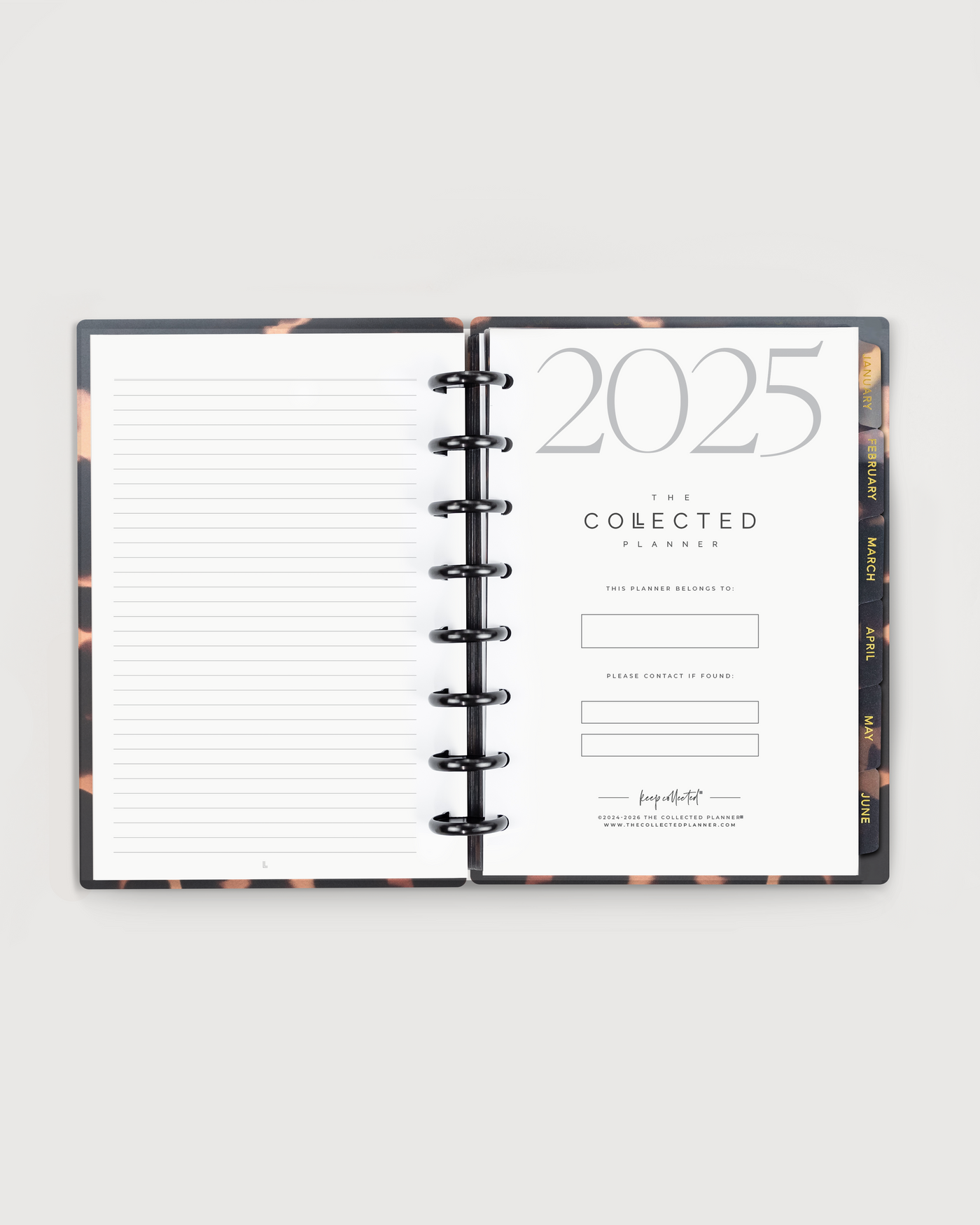 Deluxe Business Bundle – 2025 Annual Business Goal Planner (Champagne Rose Gold)