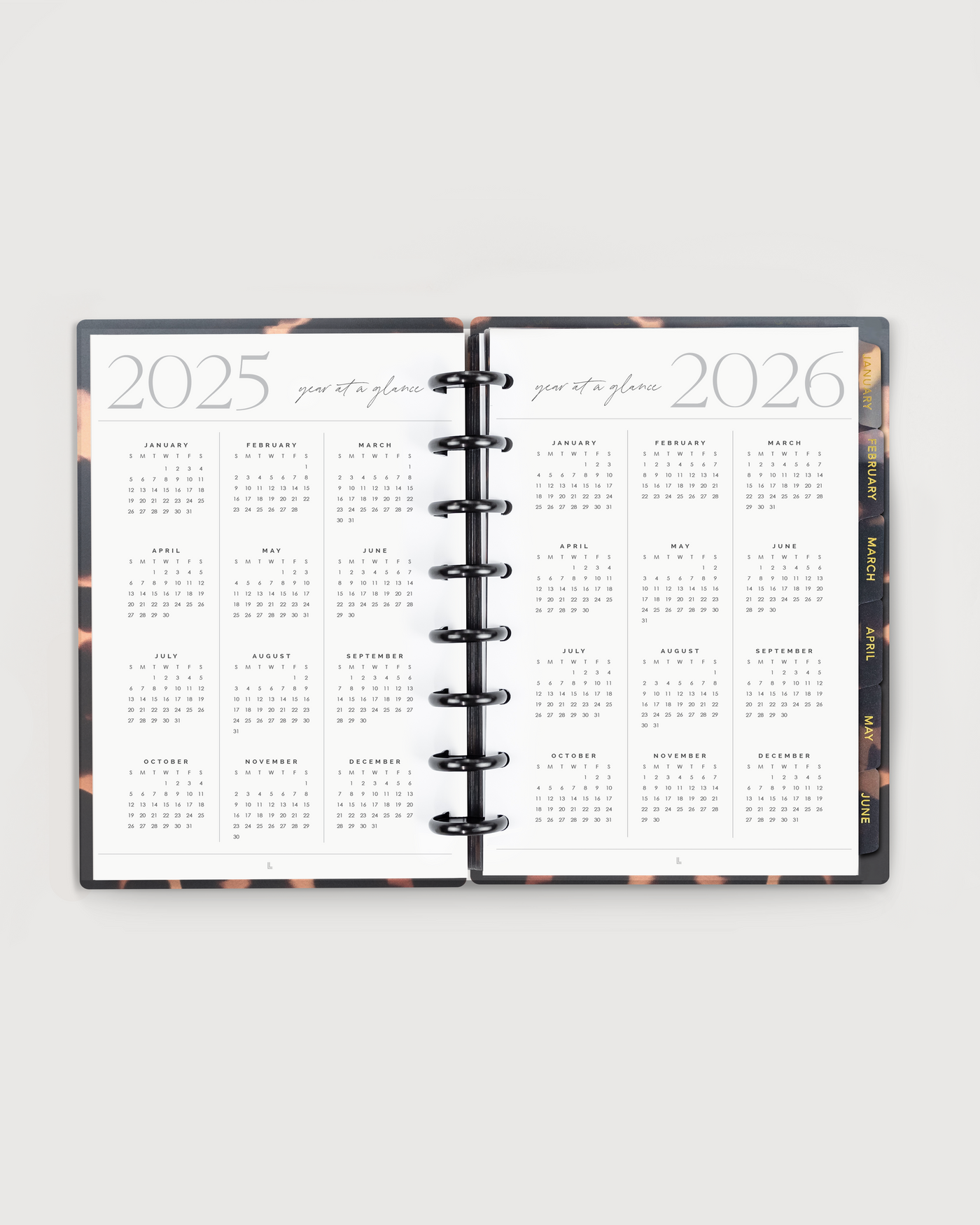 2025 Nude Blush Annual Business Planner