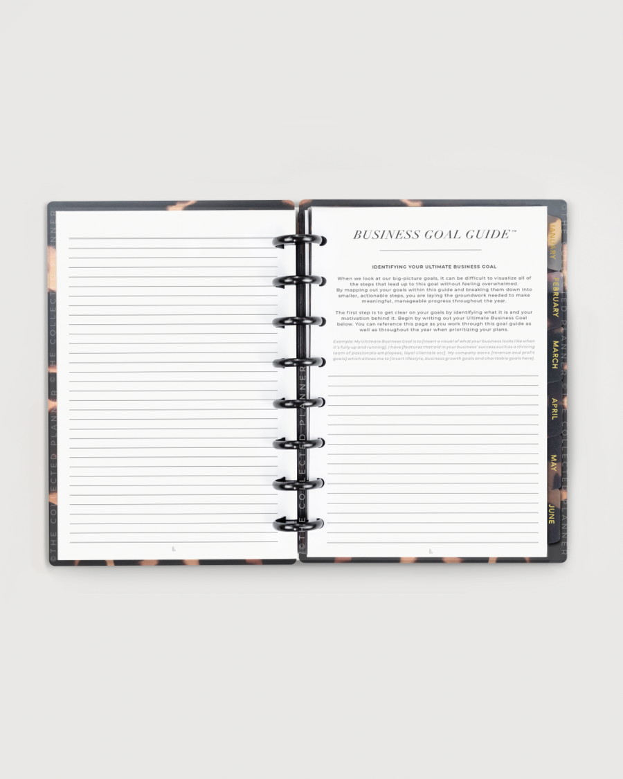 2024 Nude Blush Annual Business Planner