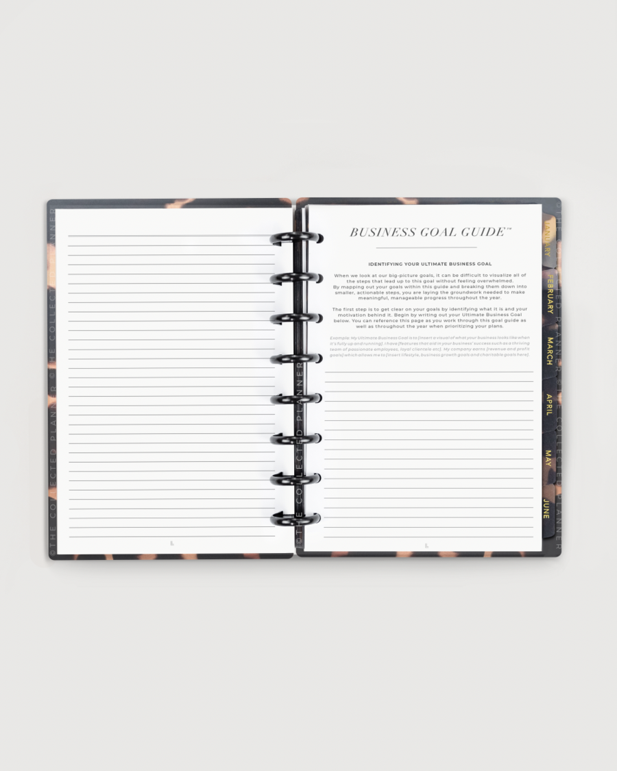 2025 Nude Blush Annual Business Planner