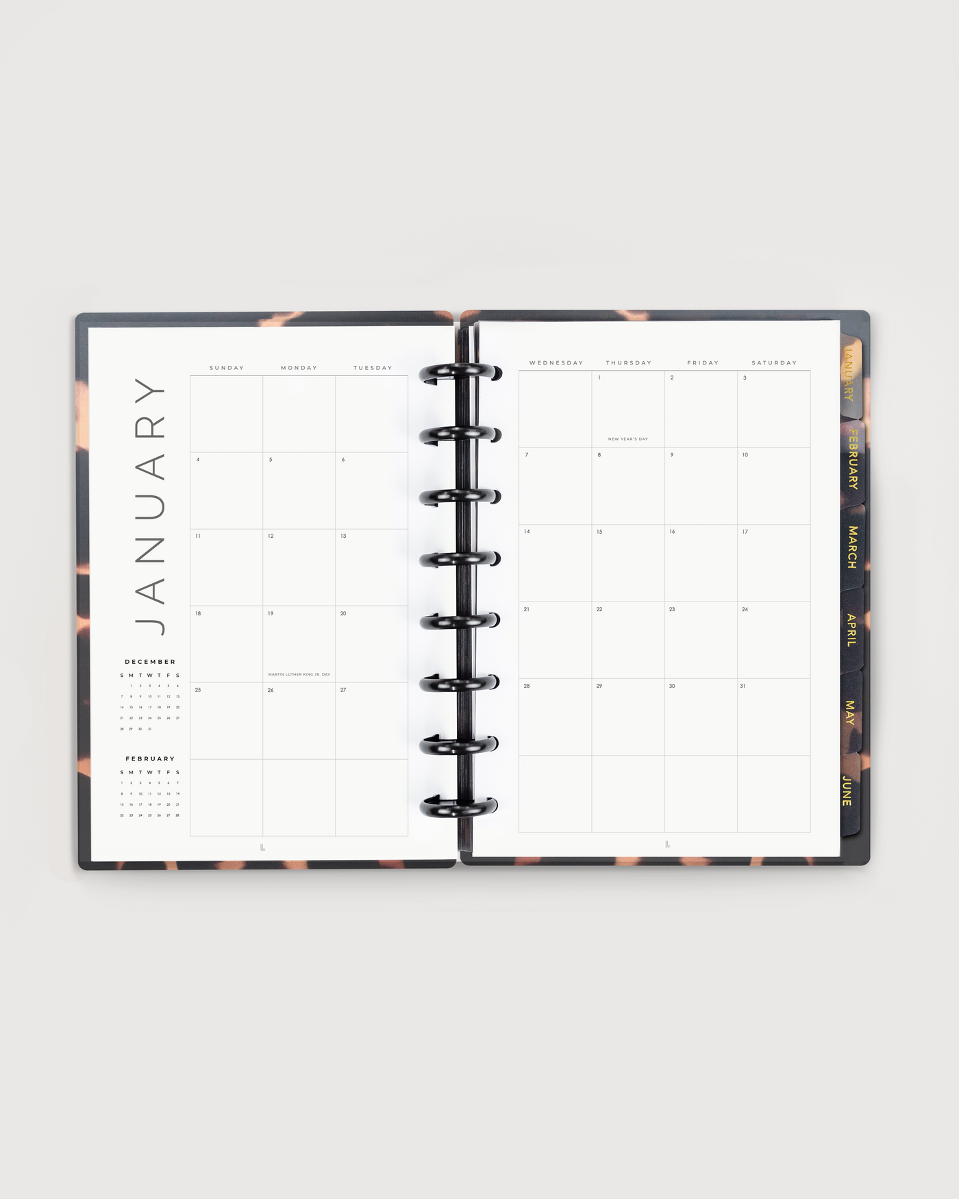 Open planner showing January on a white background