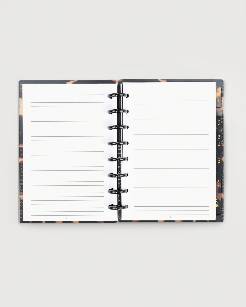 2025 Nude Blush Annual Planner - Productivity Edition