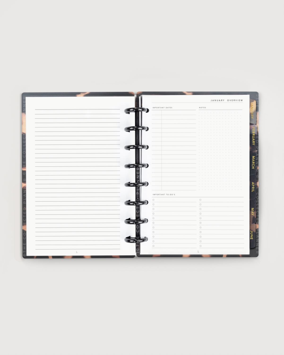 Deluxe Business Bundle in Champagne Rose Gold – 2024 Annual Business Goal Planner