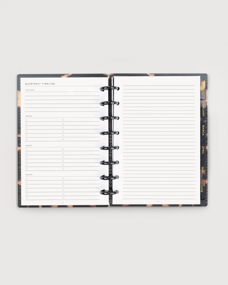 Deluxe Business Bundle – 2025 Annual Business Goal Planner (Champagne Rose Gold)