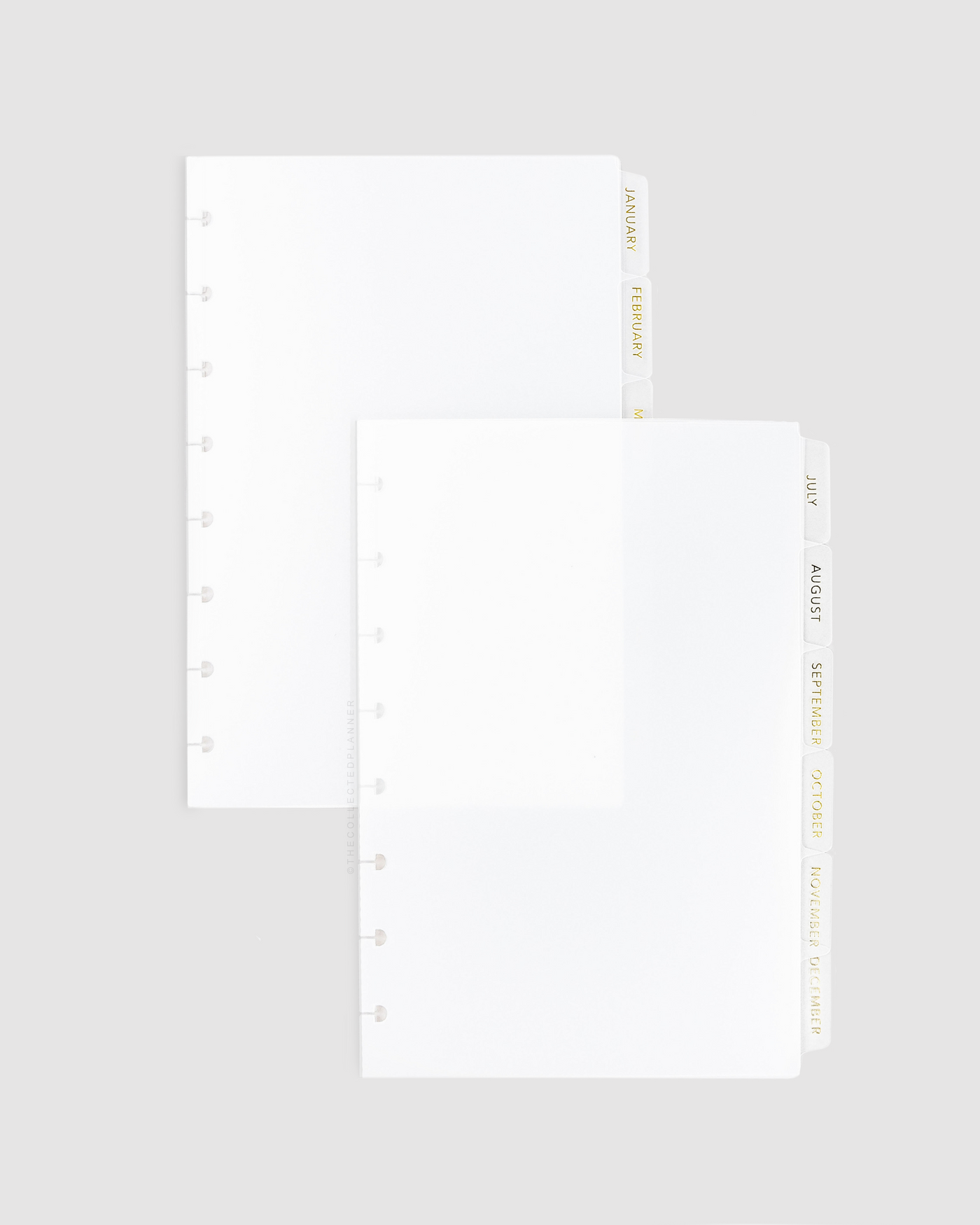 Monthly Gold foiled translucent frosted white divider set